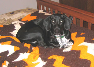 Payton Payton in 2009