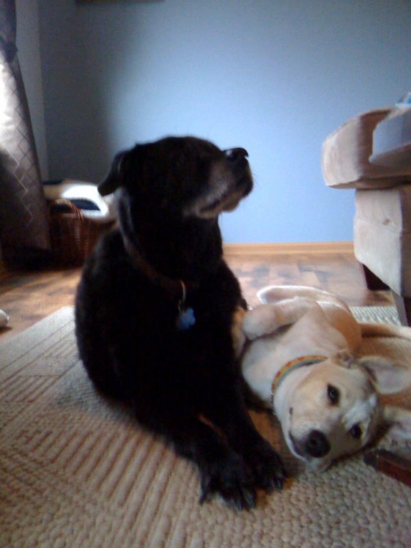 Jubilee and Shena Jubilee and Shena